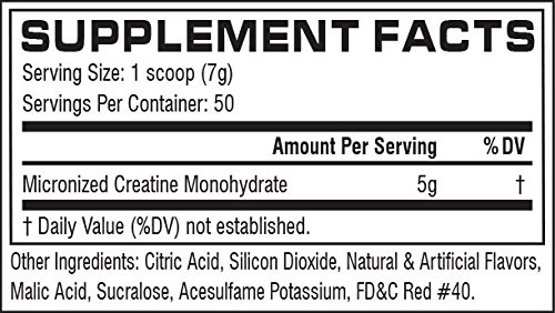 CREATINE MICRONISEE FRUIT PUNCH