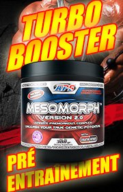 mesomorph