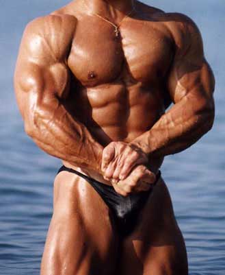 BodybuildingAndMuscleDisporphaia