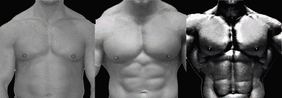 LIPO_6_FOR_EVERYBODY